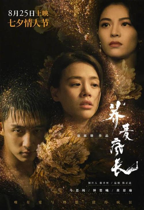 柯盖德大学金融文凭证书